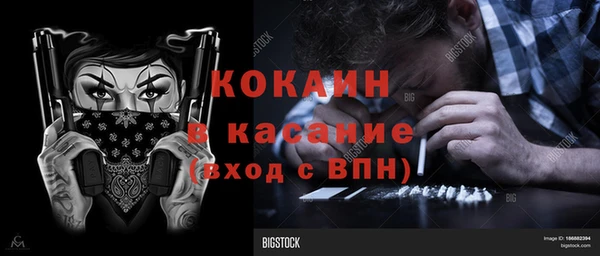 прущие грибы Алексеевка