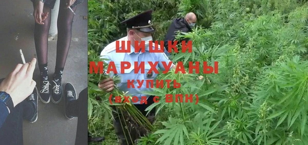 мет Арсеньев
